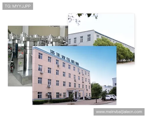 瑞丰乐投letou：全面解析其投资优势与发展前景