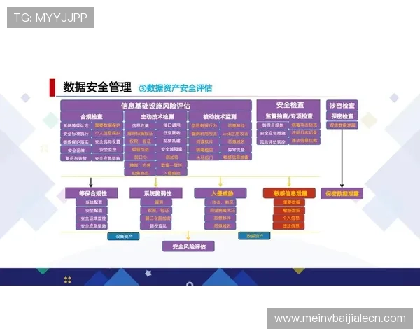 探究AG视讯官网的国家归属，分析其在国际市场中的法律合规性与信誉保障