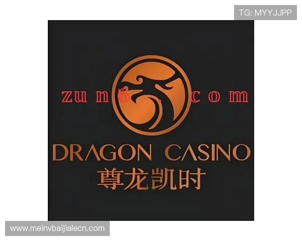 尊龙凯时百家乐官网为玩家提供专业的游戏策略指导，提升胜率实现盈利目标