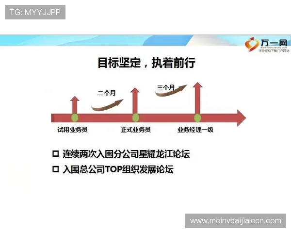 DS真人游戏的盈利技巧与策略分享,帮助玩家实现稳健盈利目标 DS真人游戏的盈利技巧与策略分享,帮助玩家实现稳健盈利目标